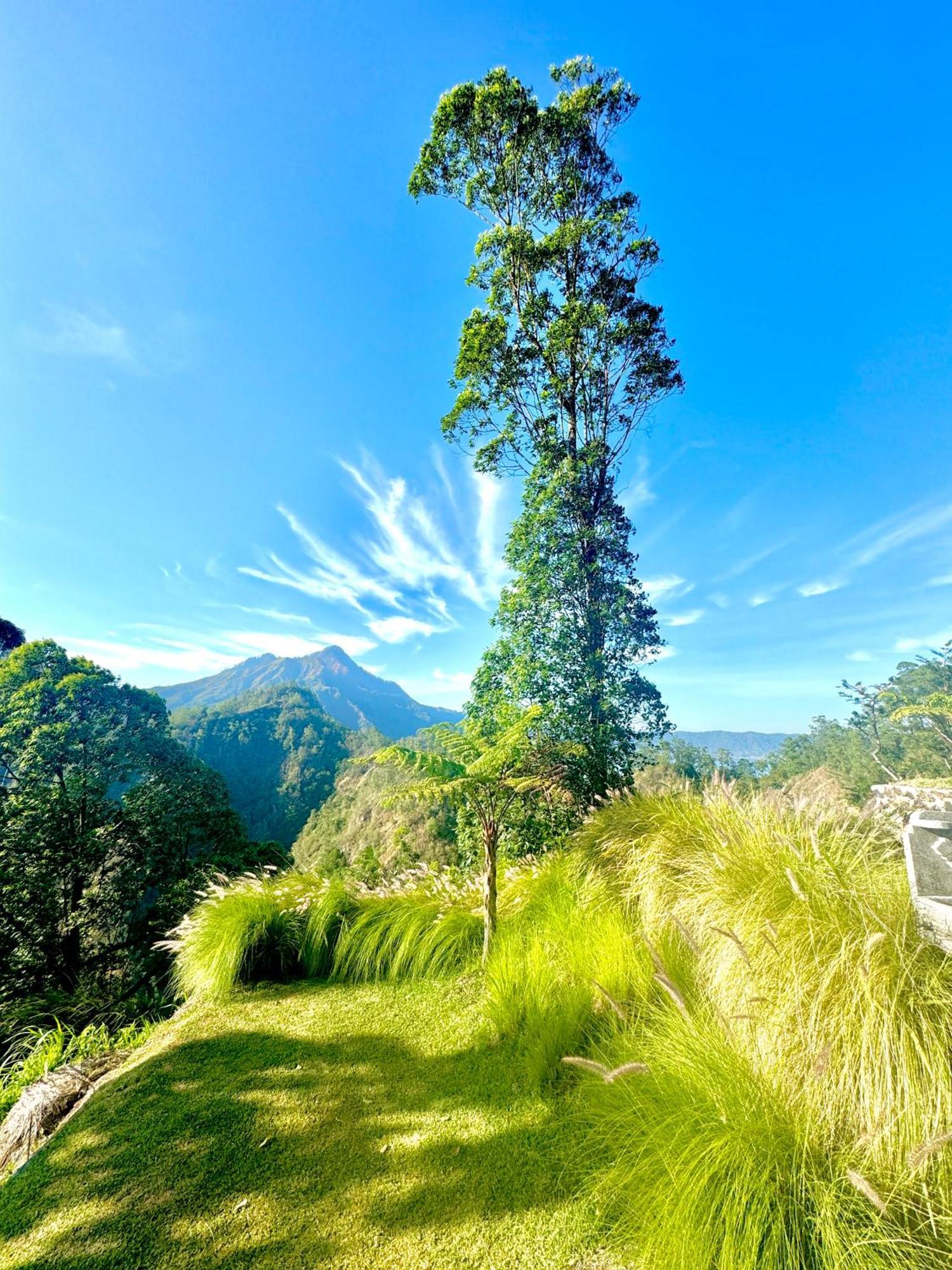 Alengkong Bali Camp Hotel Bangli Bagian luar foto